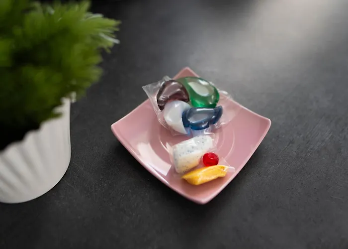 Evasion A Tatil Evi Bruguieres